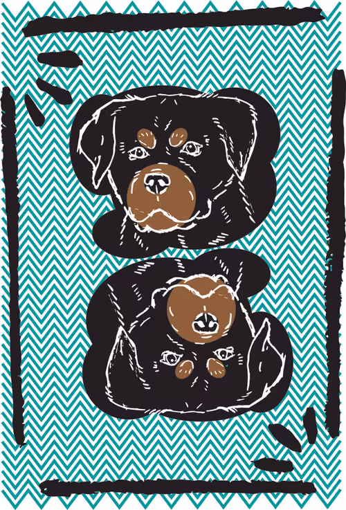 Item #51224915966700160774538338430496236534362062465209534242812469041949984161796 Media