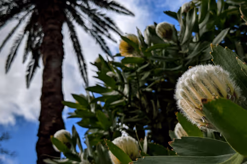 Item #39075669952795110311488058078452160275975432518977374571902800577233344790529 Media