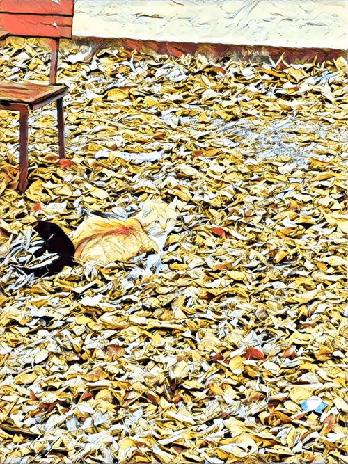 Item #46397680814911453718365897270123246439130732684861044295736256096806341967873 Media