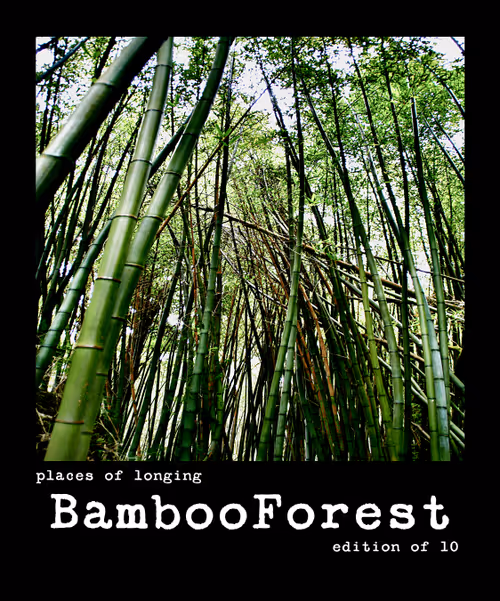 Item #54092708251689304060008626725907944876680074354438048784149165879342827307018 Media