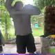 3134778895456799605997884675273331618276635435959435256809493698703798566913