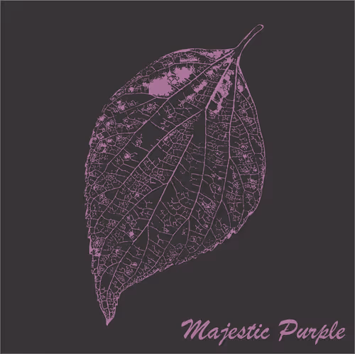 Item #40167138637940562108431742001123872206105593199433866487640627843963883094017 Media