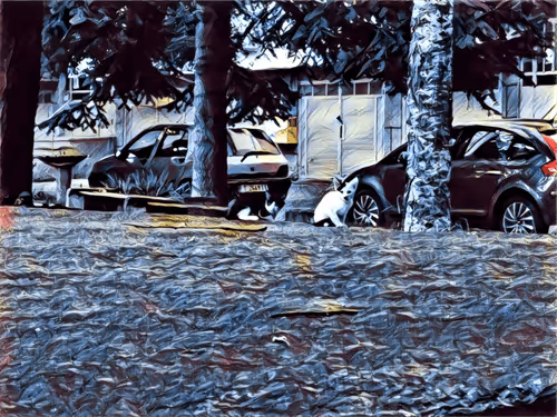 Item #46397680814911453718365897270123246439130732684861044295736256047328318717953 Media