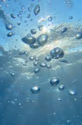 Item #33827314460789612635559167356133895666847673093346992753503737228634907213825 Media