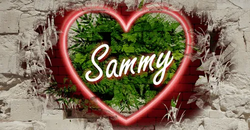 Item #68053287575525751288269231675427811746861684968250582901590729559547788132362 Media