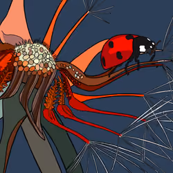 Ladybug 007