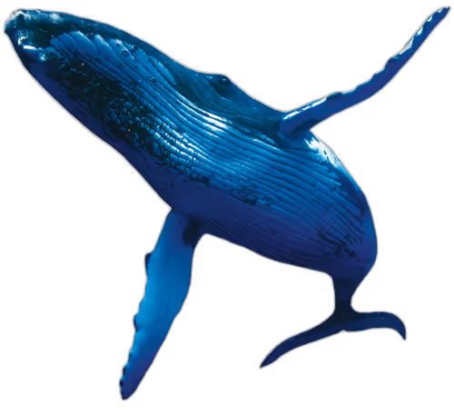 Item #46304094613724871051746606201869162156631433025373697716598318712105667133441 Media