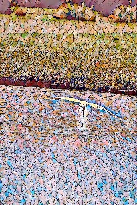 Item #32733674861489650832352945143157041569592525552396925725669160680647013957633 Media