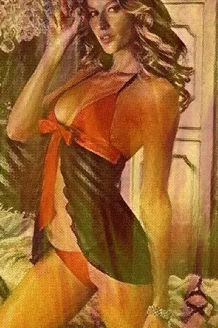Merry See Chest Area Satin 