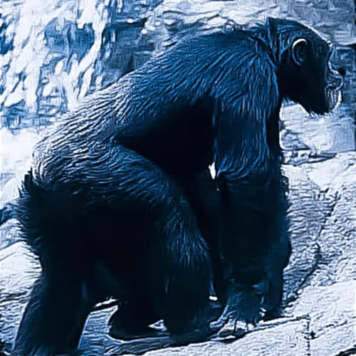 Item #105394010161551018097936078642910549059002323015222353178191529562103340859393 Media