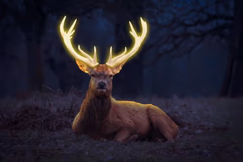 11276162529628641556553056529614973332754405277106184420845744793724242624513