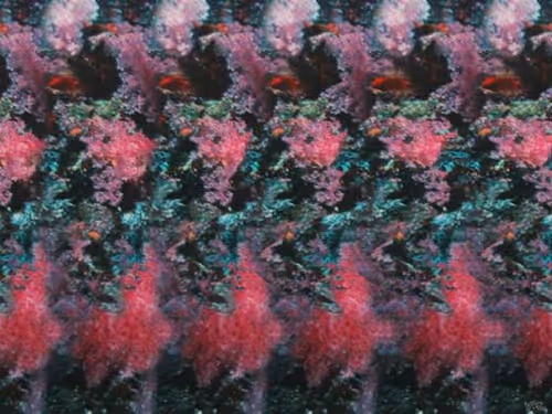 Item #24989702942326065116153480508525724290061186855920669131466917200956823175169 Media