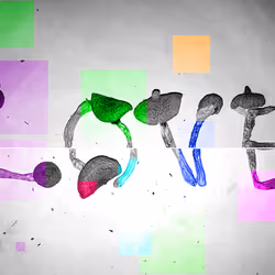 2773307847158594463210430056332023303639844319873436314674937455258009338056