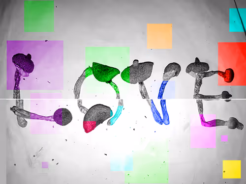 2773307847158594463210430056332023303639844319873436314674937455258009338056