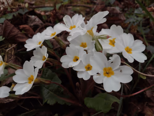 Untitled Collection #1111317603