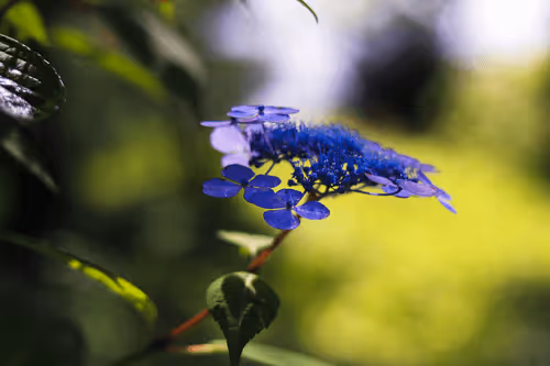 Item #108333172836631629328696584714053398631603269563571358519615745316314220068865 Media