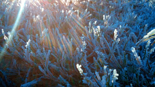 Item #55297223282317197917185791022658401724226762533250968792427961477359443378177 Media