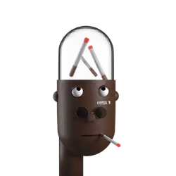 52253249995247019493192574739165152294434034791409502569978112512297214672897