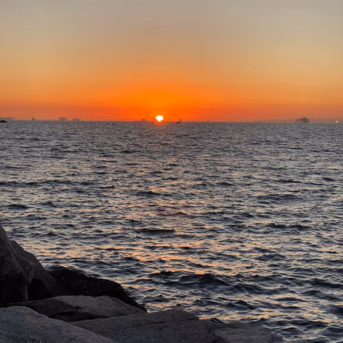 the sunset