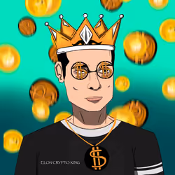 Elon Musk King on Crypto Space369