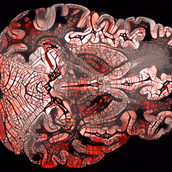 29877578668728852178902598419785793077778618348046200683544678253576897691649