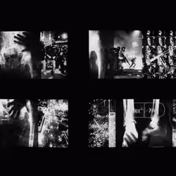 45576425564904372626892608315059614446222544919153294335331944256664365957121