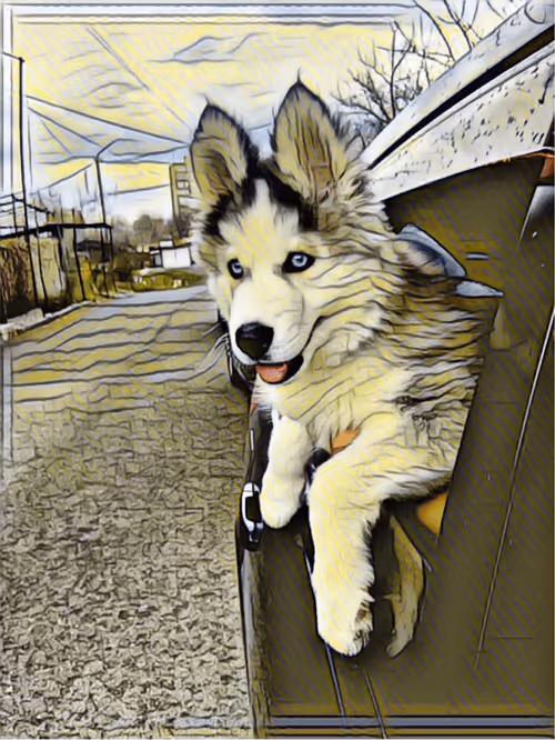 Item #14146803547502692326927891051042067375299252267451974357825757776104157872129 Media