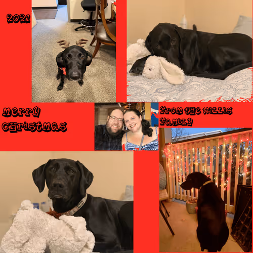 Untitled Collection #35094107