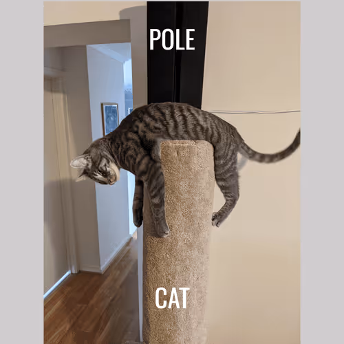 Item #44620874891817151243594749246618052993652209815512575114711663808380909125633 Media