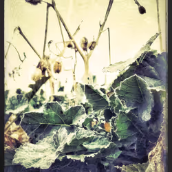 3787080761074609709675817509753112159059746763483256848434353574289082417153