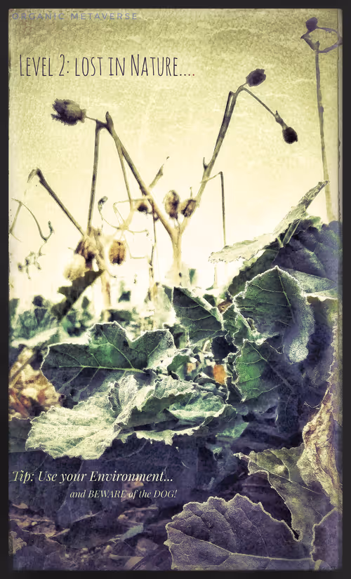 Item #3787080761074609709675817509753112159059746763483256848434353574289082417153 Media