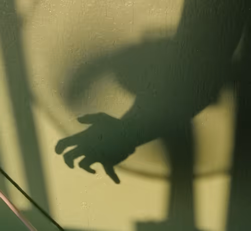 Item #112734530857144882359999642701628212224458434027144103607303888230620076179457 Media