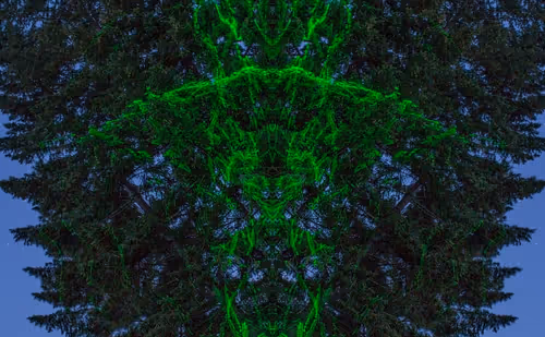 Item #229903202399770629281150266274287852530355796343641318577665397298101747724 Media