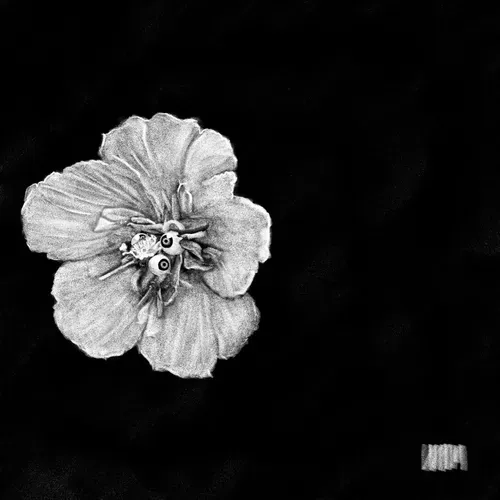 Item #77614511146470264358960422071308590595865824285225743465306556901647781462017 Media