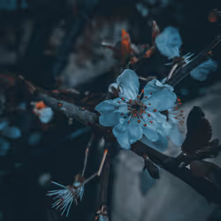 75869817590340460685317939374360076253263101056567316776239183287640515411969