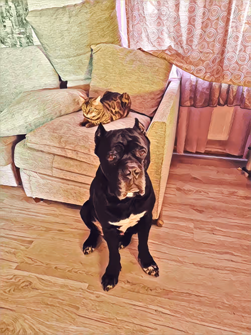 Item #37182515887132438156716547995651835477676529273037928400733563061006053146625 Media