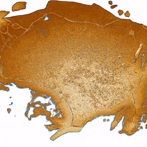 Item #25476534558277563902862022666305552142584383850985882668069402602637042384897 Media