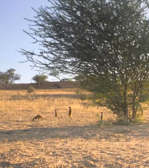 Item #114889871137144360899961509634196120936004573759111492612548624811938059124746 Media