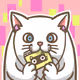 GaburiCats Collection