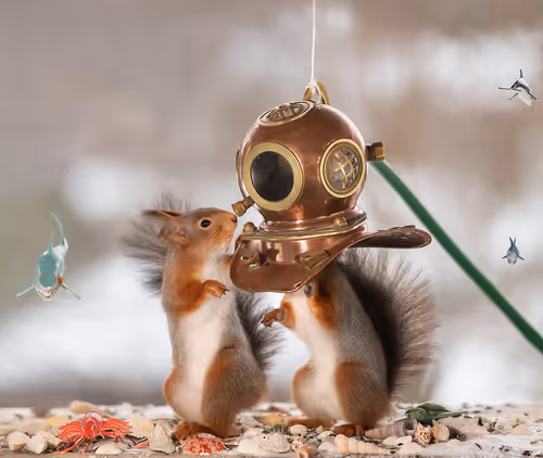 Item #41723246610632705543282218396403645401617984070439185990108432294203969503233 Media