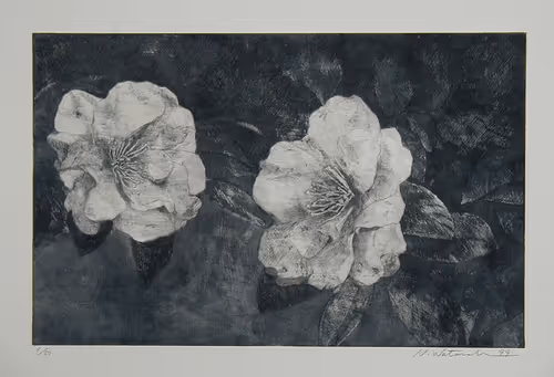 Item #72925079646173943955019179802066495558357068765344184678483369491307088052234 Media