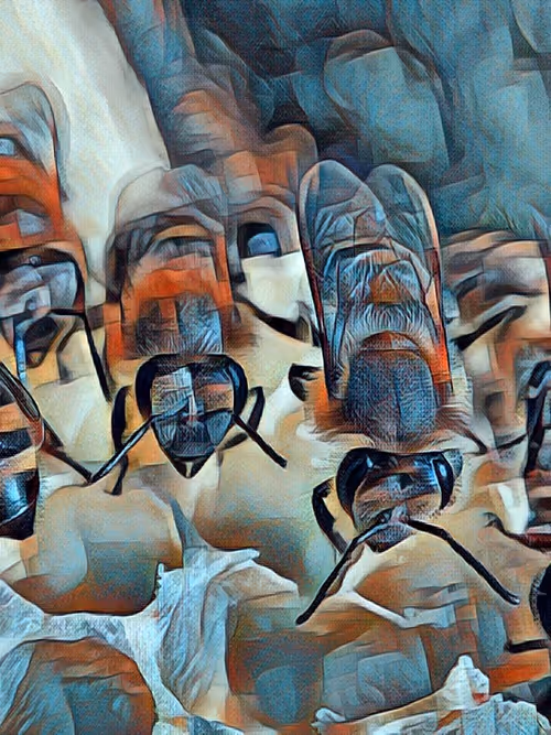 Item #101599579626109009666607068920778550362968334718480795982881728471565525319681 Media