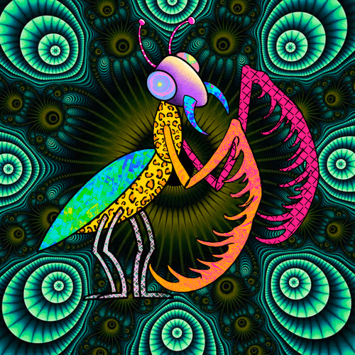 Item #78765904268795539360383767301519667356793495899411386849462952580550137741313 Media