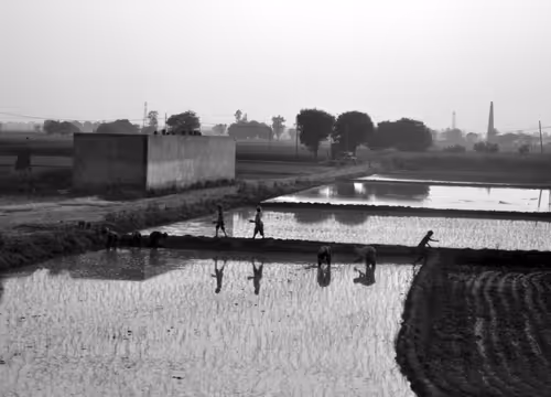 Item #109579018027133606473158902058456759875658318669045531735484408724130449326081 Media