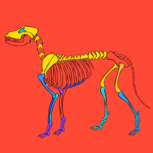 Item #66115251428437251400949335005857765940906863007353817121707627068223173689345 Media