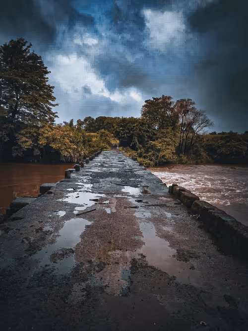 Item #48948276365238912954567628473331808806147926200792194996931408198022595608577 Media