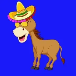 Gen 0 Donkey #49