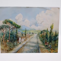 Road And Tree