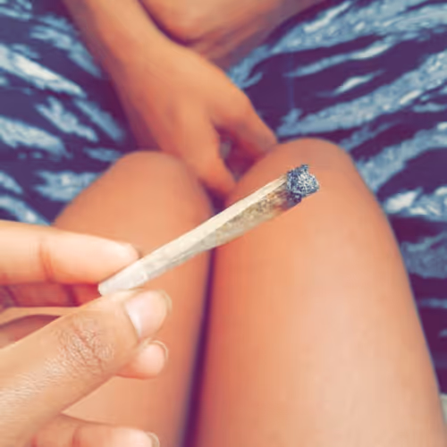 Untitled Collection #40516885