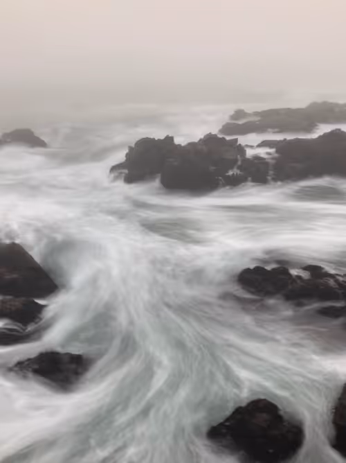 Item #41540088115712747085042347828727921897877758860552176514137011691126435872773 Media